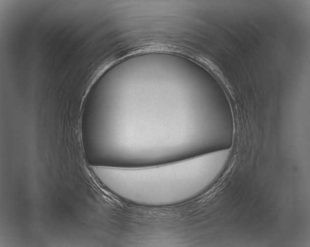 X0000054471097200507291041
