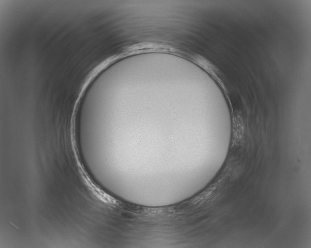 X0000054471098200507291041