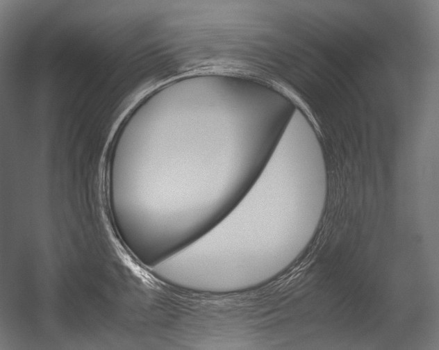 X0000054471099200507291041