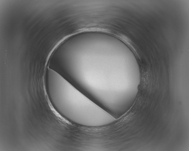 X0000054471100200507291041