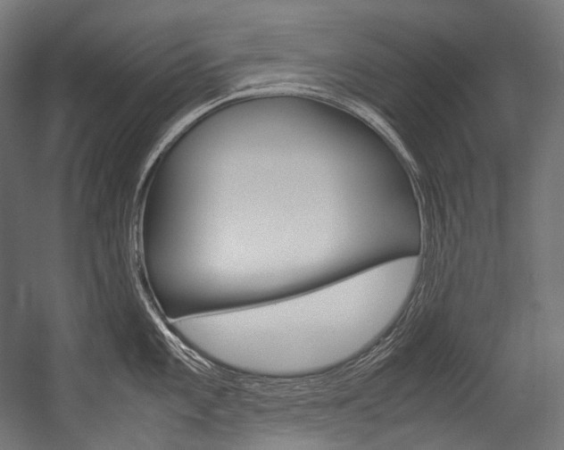 X0000054471101200507291041