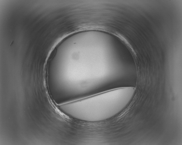X0000054471102200507291041