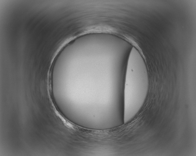 X0000054471103200507291041