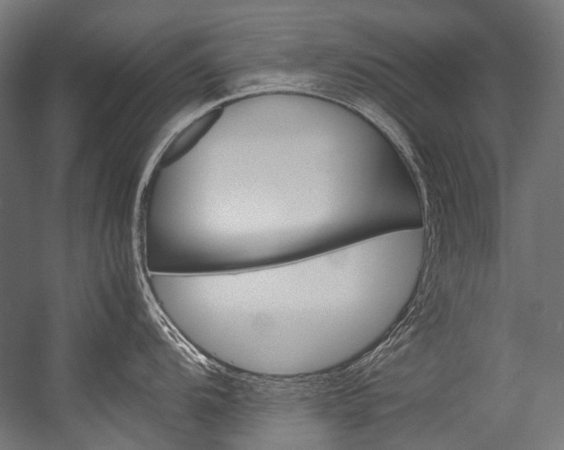 X0000054471104200507291041