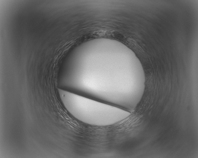 X0000054471105200507291040