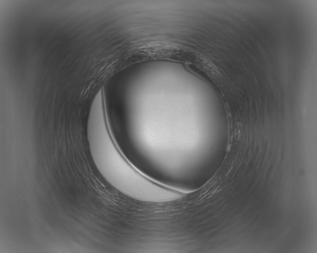 X0000054471108200507291040