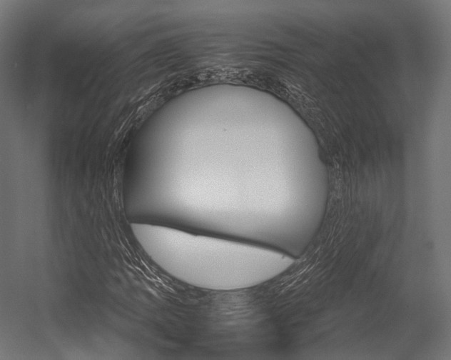 X0000054471109200507291040
