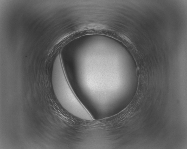 X0000054471112200507291040