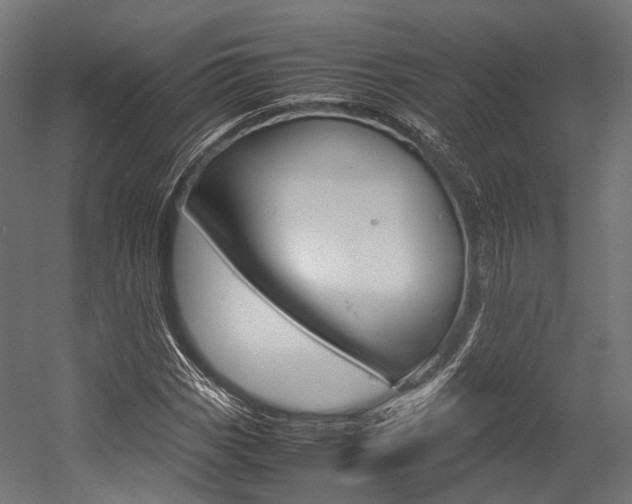 X0000054471113200507291040