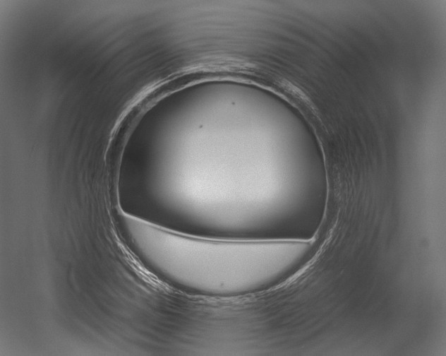 X0000054471114200507291040