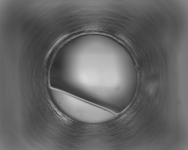 X0000054471115200507291040