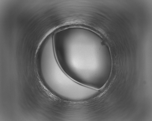 X0000054471118200507291040