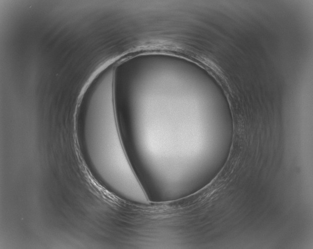 X0000054471120200507291040
