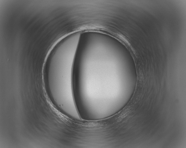 X0000054471124200507291040