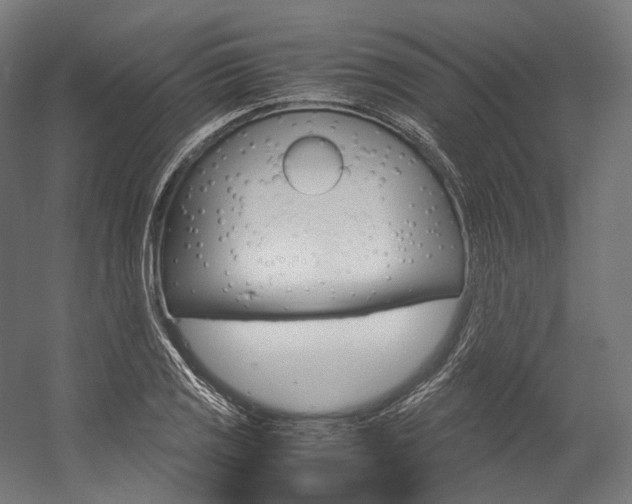 X0000054471125200507291040