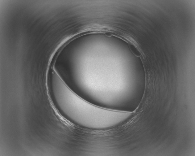 X0000054471128200507291040