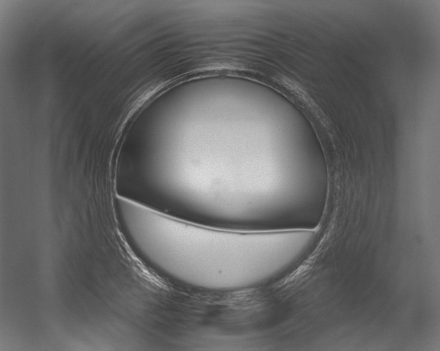 X0000054471129200507291040