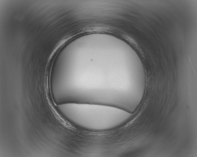 X0000054471130200507291040
