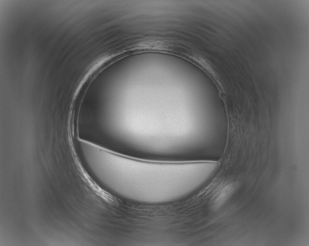 X0000054471131200507291040