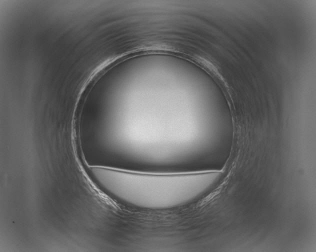 X0000054471133200507291040