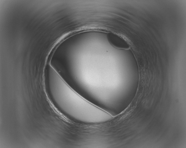 X0000054471134200507291040