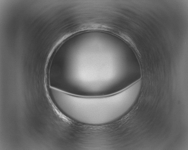 X0000054471136200507291040