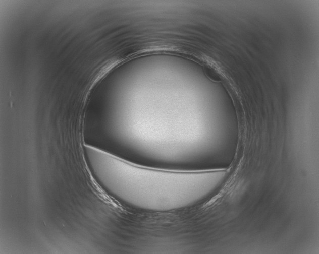 X0000054471137200507291040