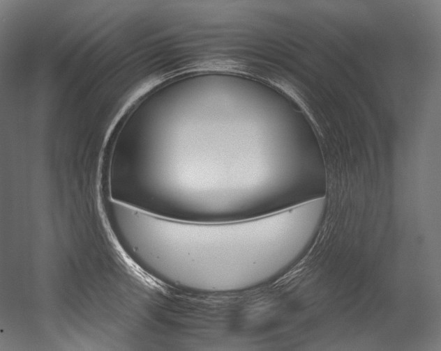 X0000054471139200507291040