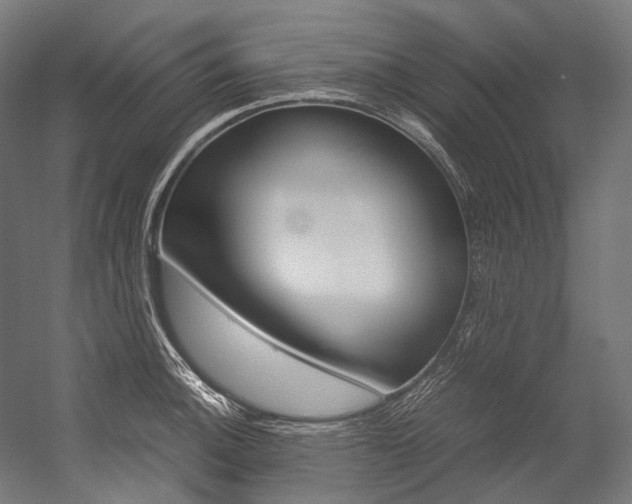 X0000054471140200507291040