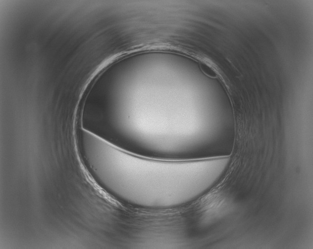 X0000054471142200507291040
