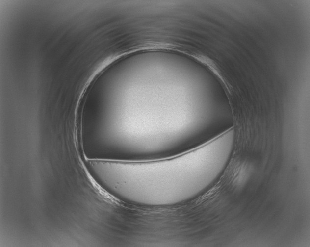 X0000054471143200507291041