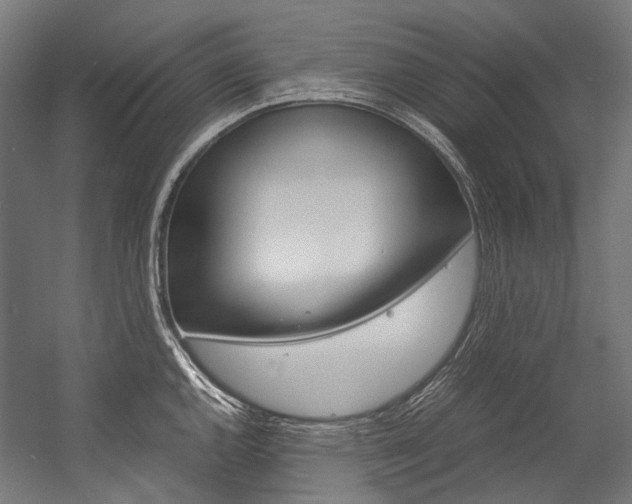 X0000054471144200507291041