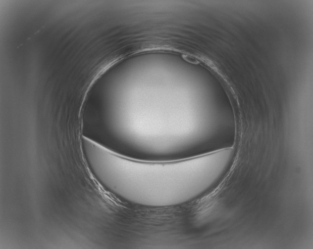 X0000054471145200507291041