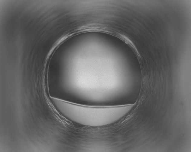 X0000054471146200507291041