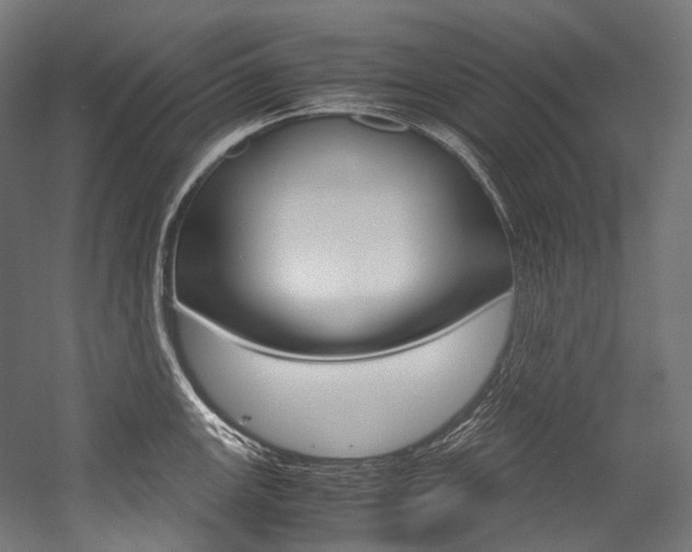 X0000054471147200507291041