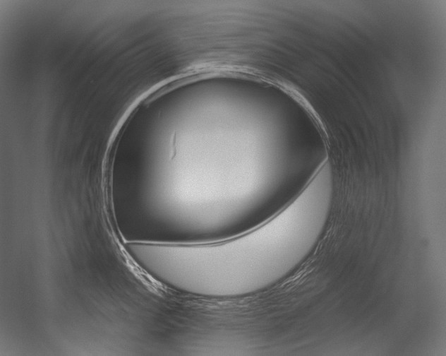 X0000054471148200507291041