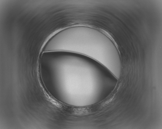X0000054471149200507291041
