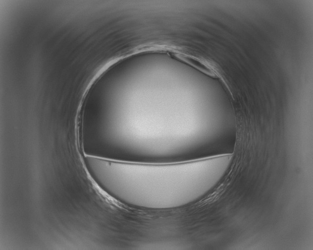 X0000054471151200507291041