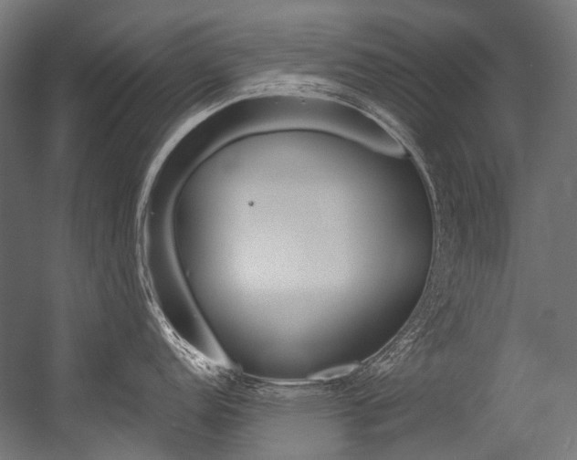 X0000054471152200507291041