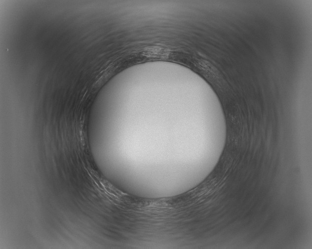 X0000054471154200507291040