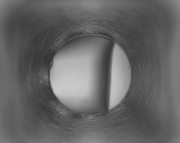 X0000054471155200507291040