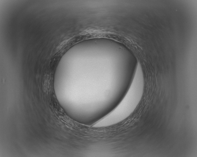 X0000054471157200507291040