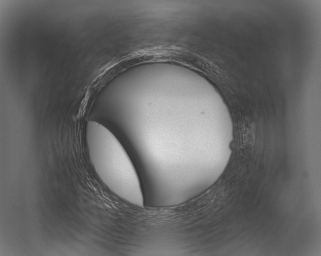 X0000054471158200507291040
