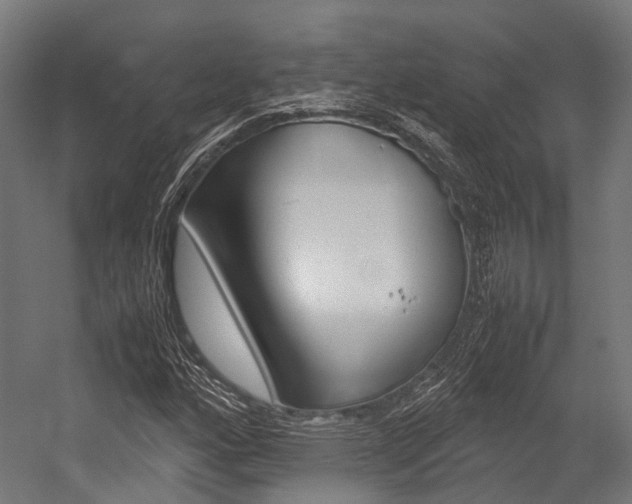 X0000054471160200507291040