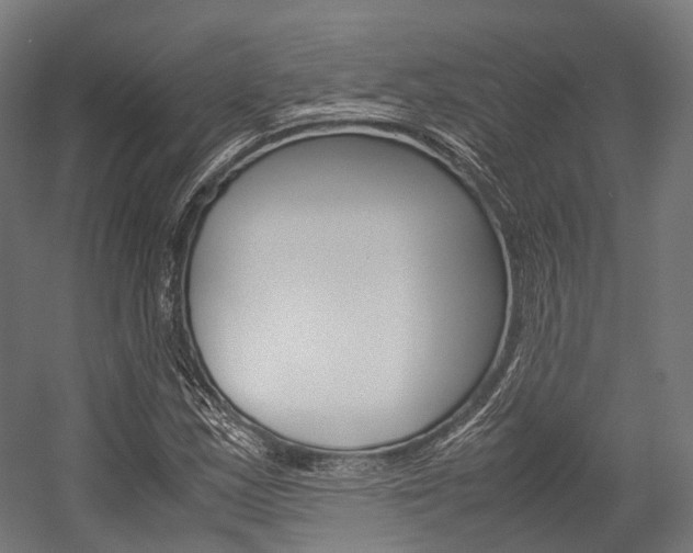 X0000054471163200507291040