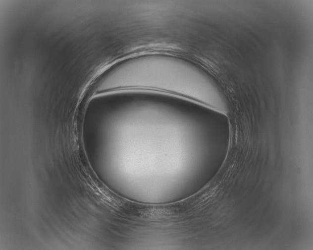X0000054471164200507291040