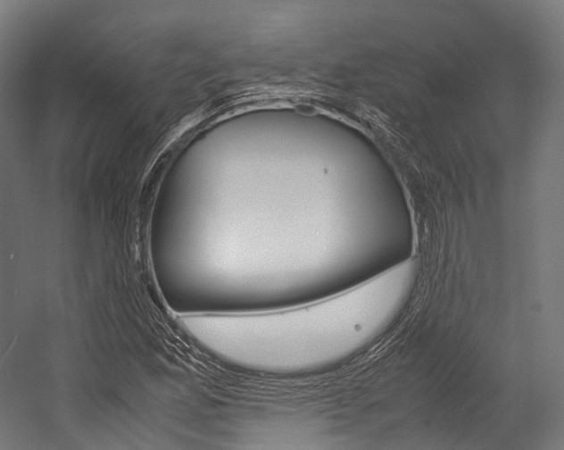 X0000054471165200507291040