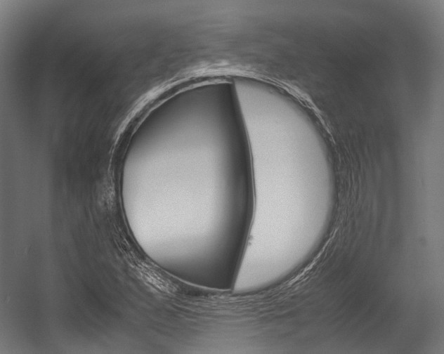 X0000054471167200507291040