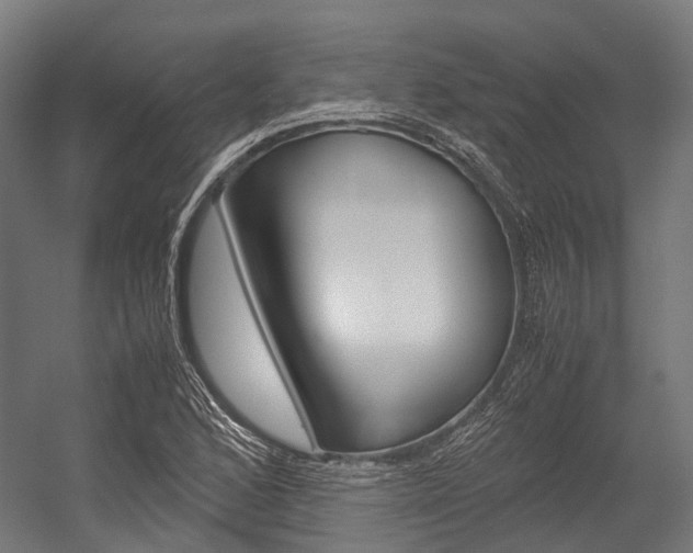 X0000054471168200507291040