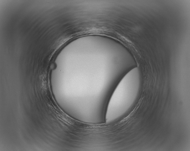 X0000054471170200507291040
